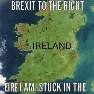 Meet your Posher, Fiona